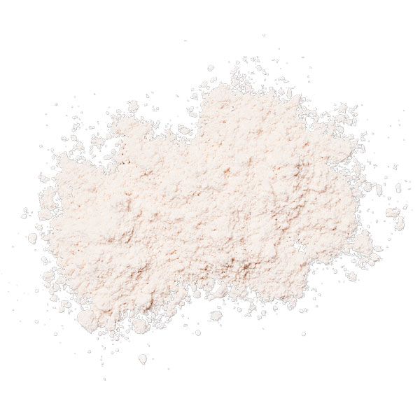 Матирующая солнцезащитная пудра с кистью COLORESCIENCE Sunforgettable Total Protection Sheer Matte SPF 30 Sunscreen Brush 4.3 г (Цена: 3 100 грн.)