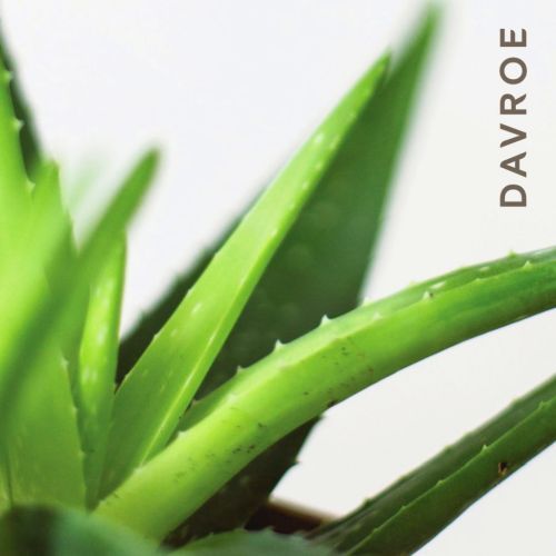 Шампунь для гладкости волос DAVROE Smooth Senses Anti-Frizz Shampoo 325 мл