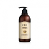 Очищающий шампунь с имбирем ESTHETIC HOUSE Cp-1 ginger purifying shampoo