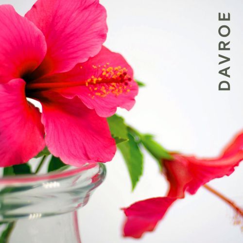 Шампунь восстанавливающий для волос DAVROE Repair Senses Revitalizing Shampoo 100 мл  (Цена: 710 грн.)