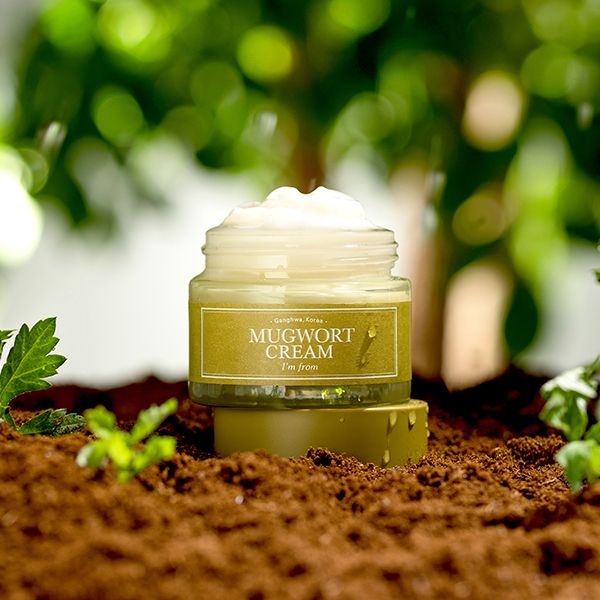 Крем успокаивающий с полынью I'M FROM  Mugwort Cream 50 г (Цена: 1 195 грн.)